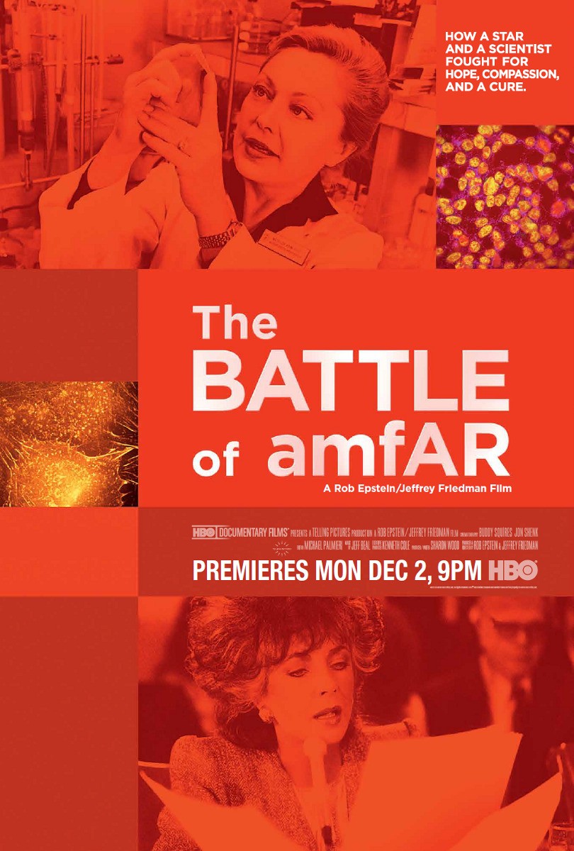 Extra Large TV Poster Image for The Battle of Amfar 