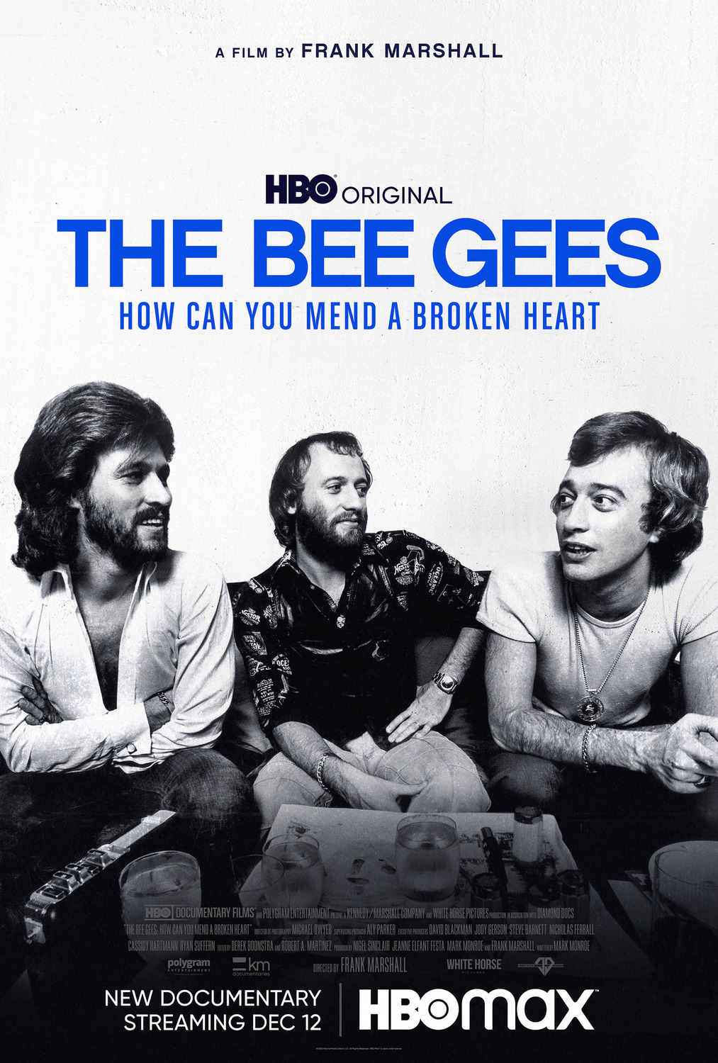 Extra Large TV Poster Image for The Bee Gees: How Can You Mend a Broken Heart (#1 of 2)