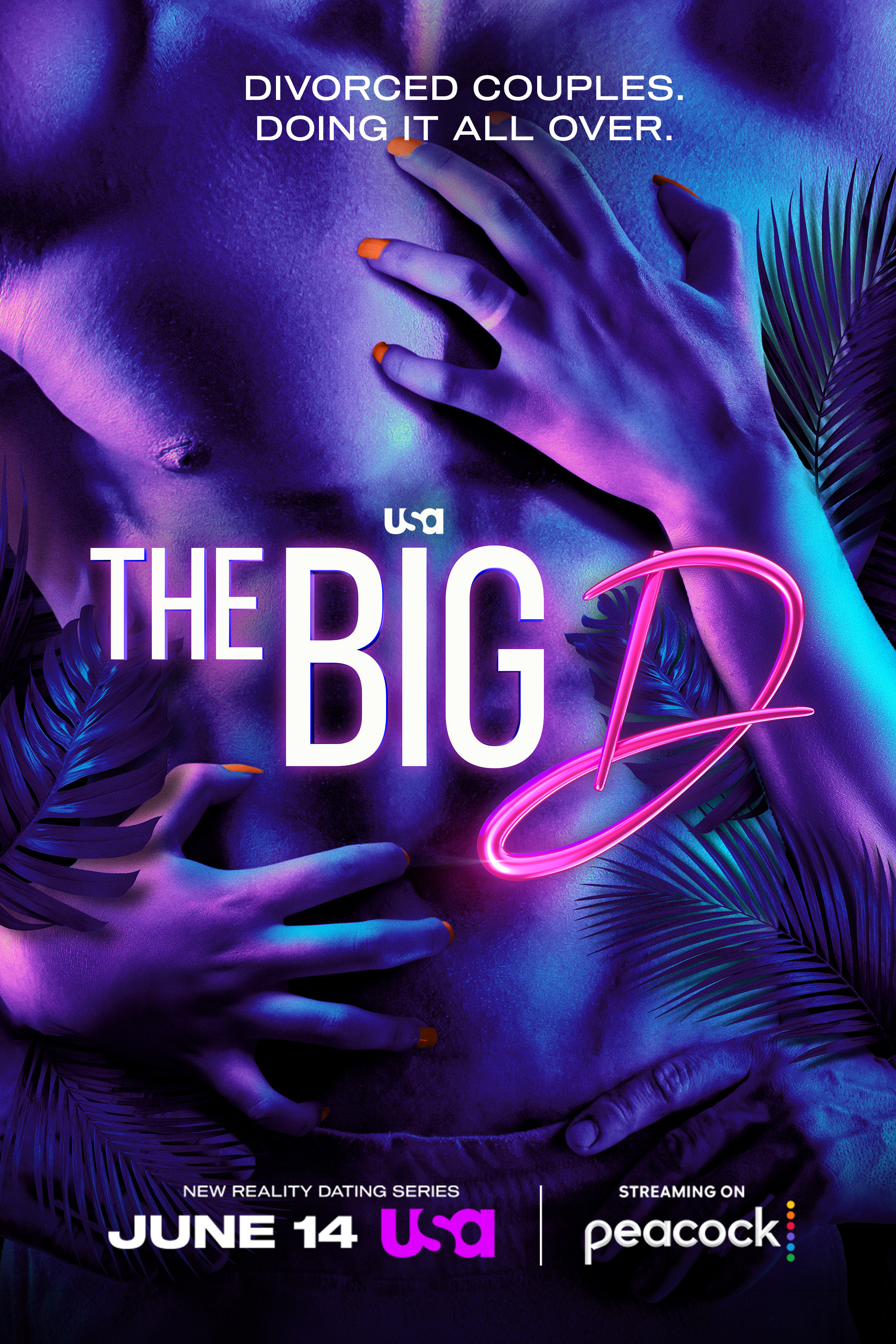 Mega Sized TV Poster Image for The Big D 