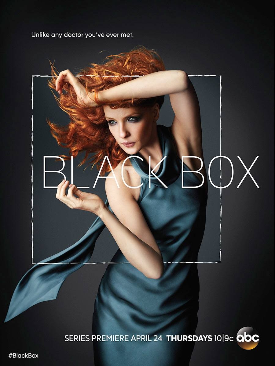 Extra Large TV Poster Image for Black Box 