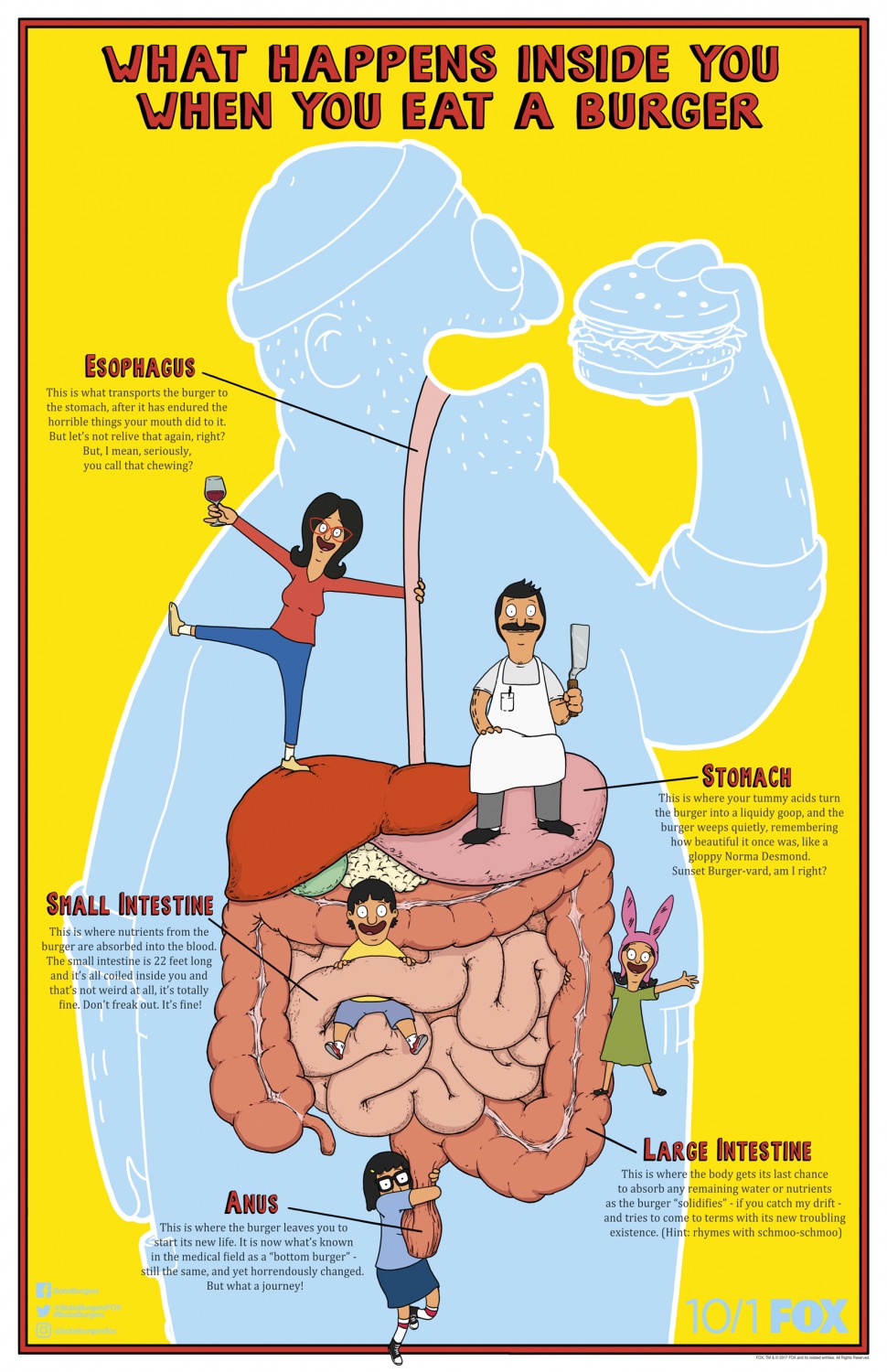 Extra Large TV Poster Image for Bob's Burgers (#3 of 5)