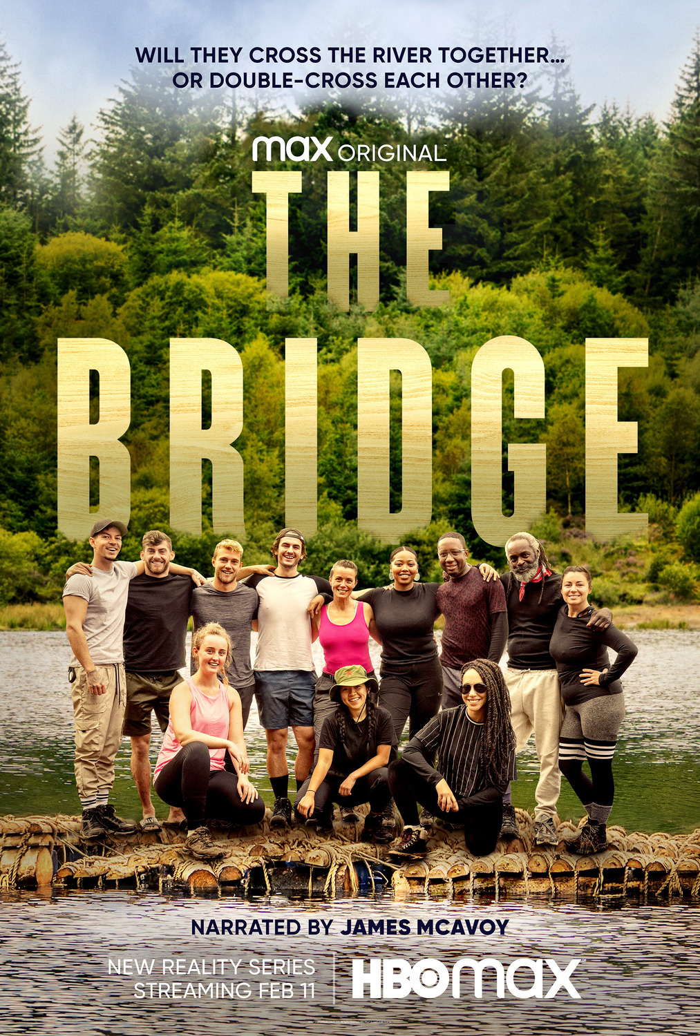 Extra Large TV Poster Image for The Bridge 