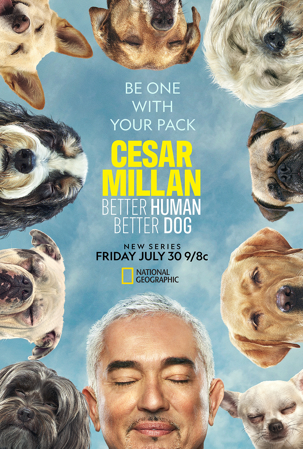 Extra Large TV Poster Image for Cesar Millan: Better Human Better Dog 