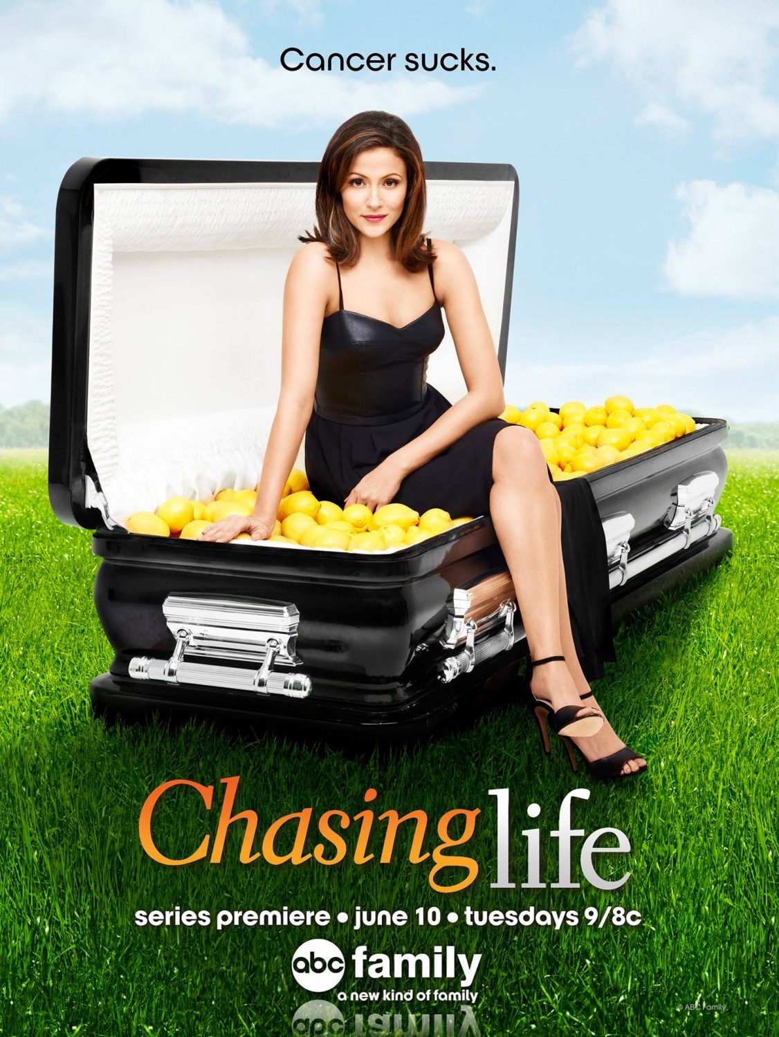 Extra Large TV Poster Image for Chasing Life (#1 of 2)