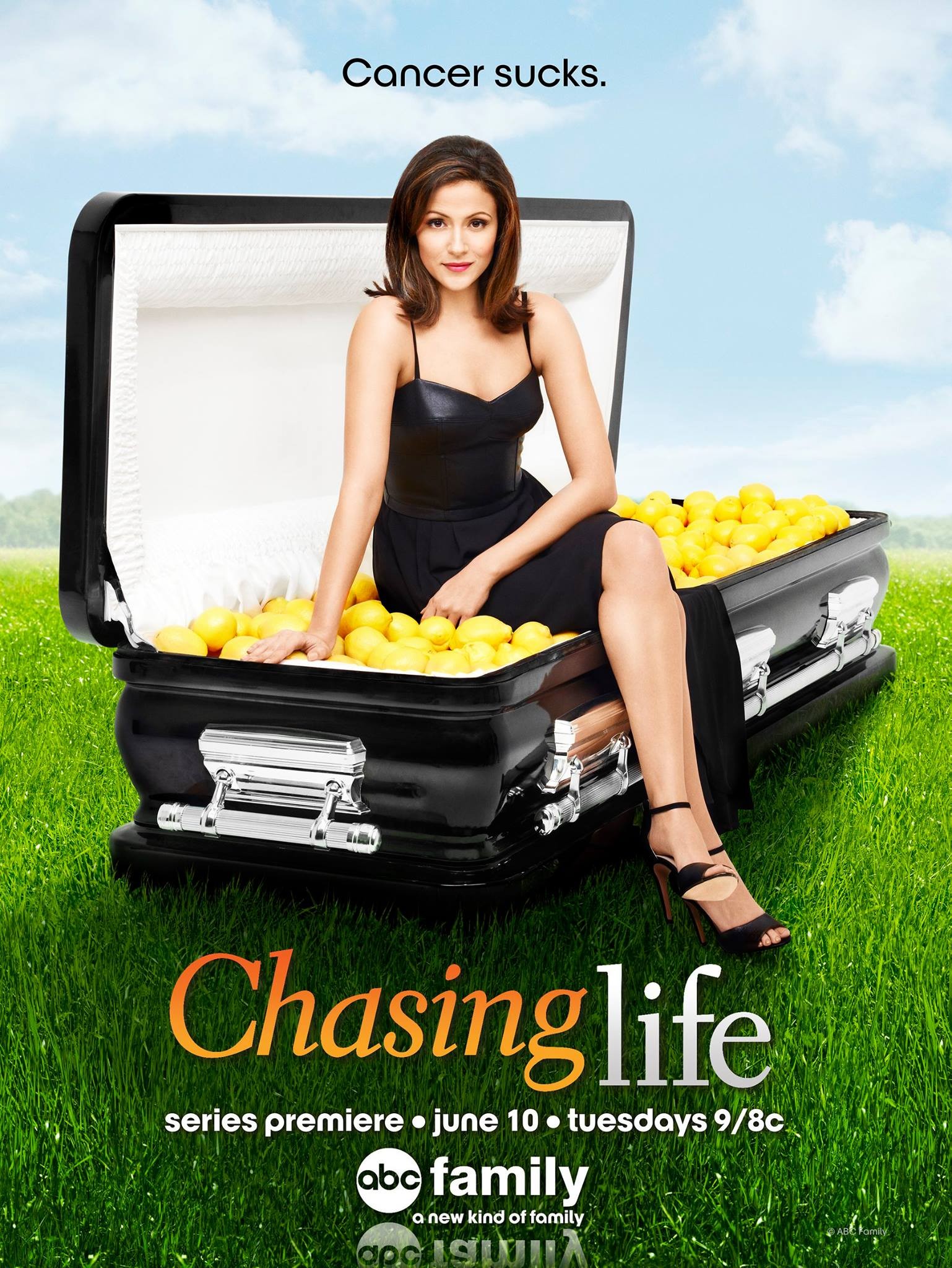 Mega Sized TV Poster Image for Chasing Life (#1 of 2)
