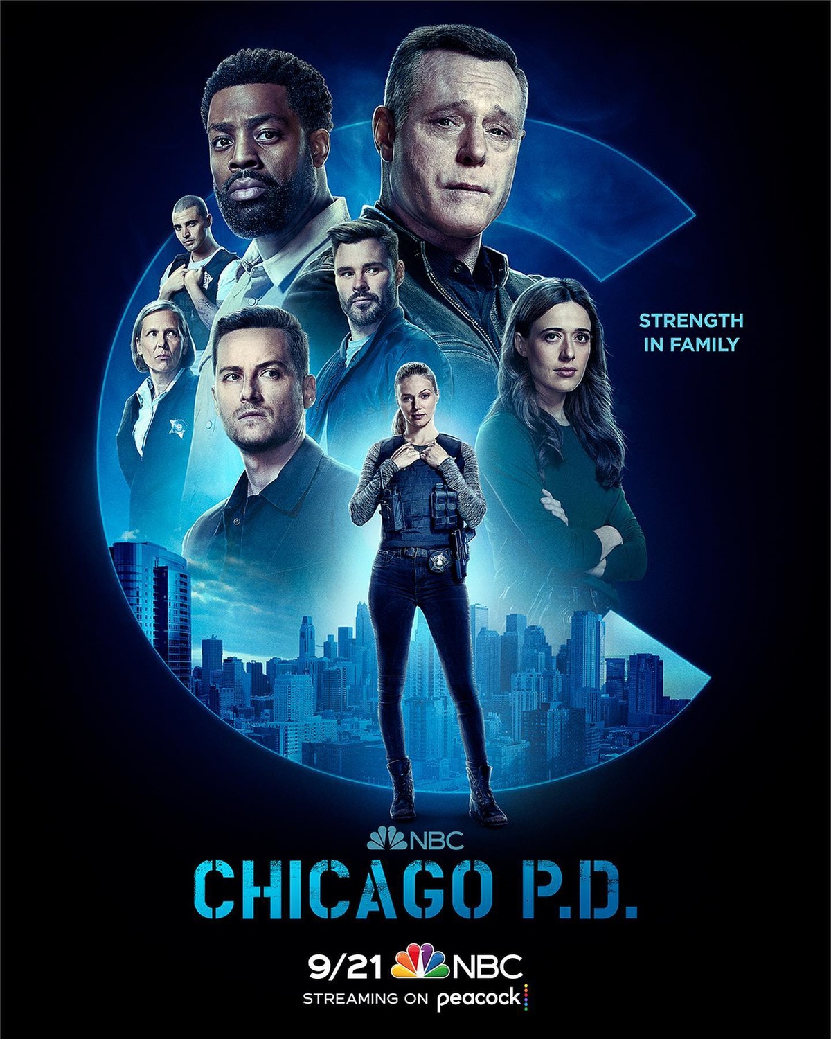 Extra Large TV Poster Image for Chicago PD (#4 of 4)