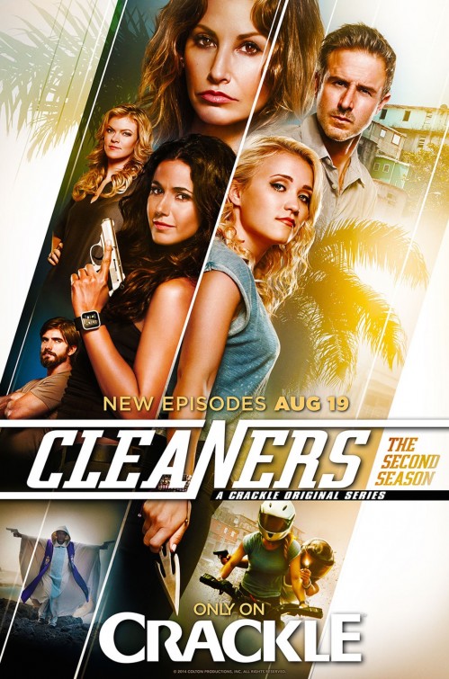 Cleaner Movie Poster - IMP Awards