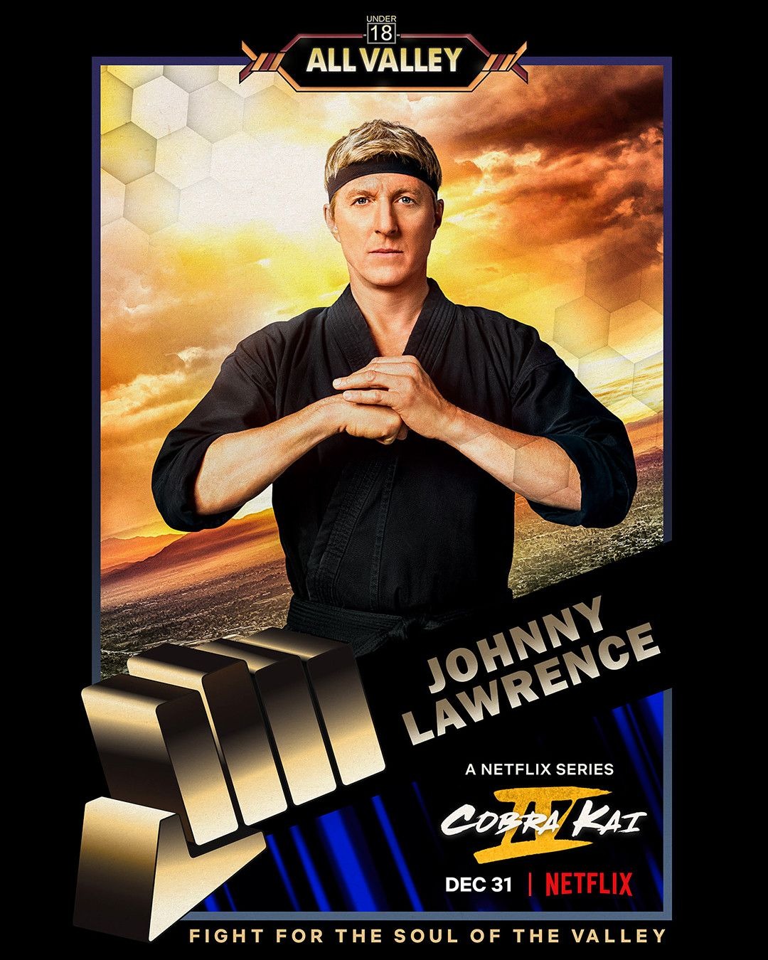Extra Large TV Poster Image for Cobra Kai (#10 of 28)