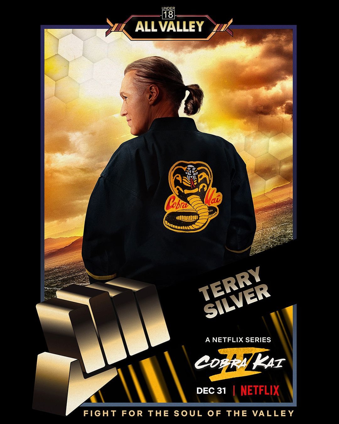 Extra Large Movie Poster Image for Cobra Kai (#17 of 20)