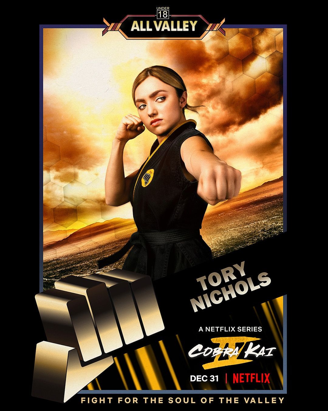 Extra Large TV Poster Image for Cobra Kai (#18 of 28)