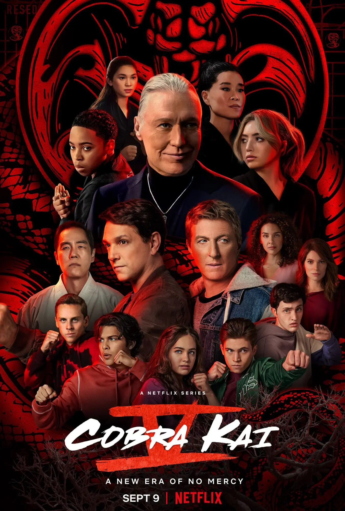 Mega Sized TV Poster Image for Cobra Kai (#20 of 20)