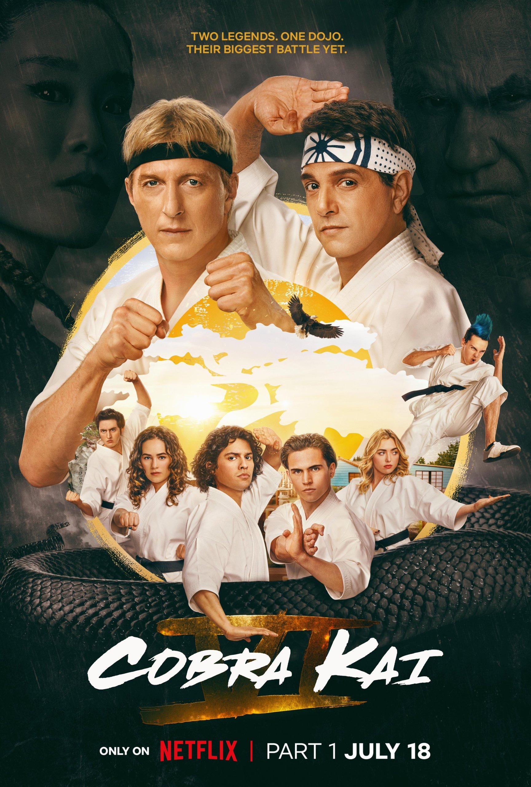 Mega Sized TV Poster Image for Cobra Kai (#21 of 28)
