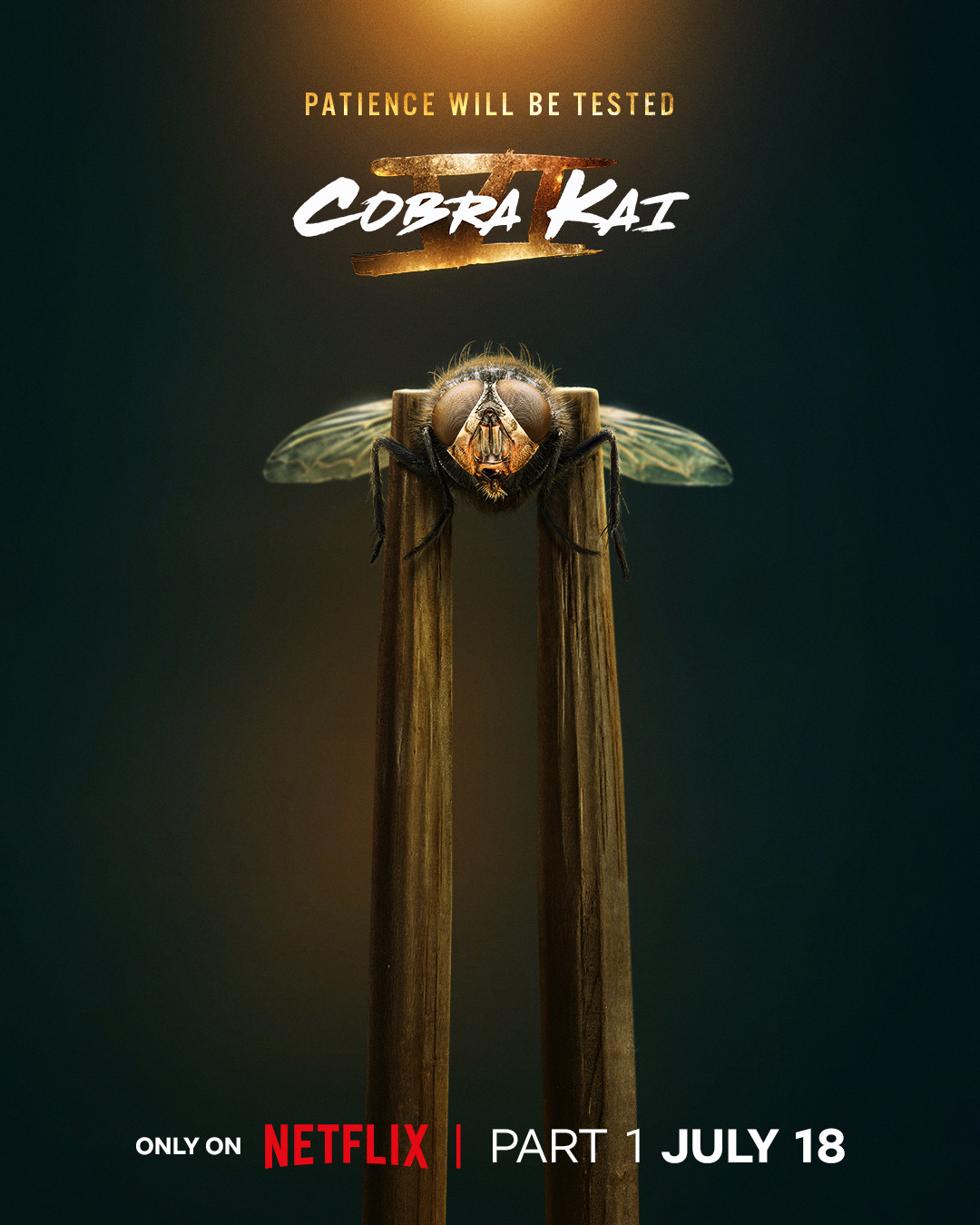 Extra Large TV Poster Image for Cobra Kai (#22 of 28)