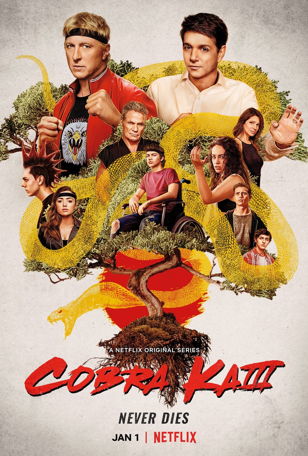 Extra Large TV Poster Image for Cobra Kai (#4 of 28)