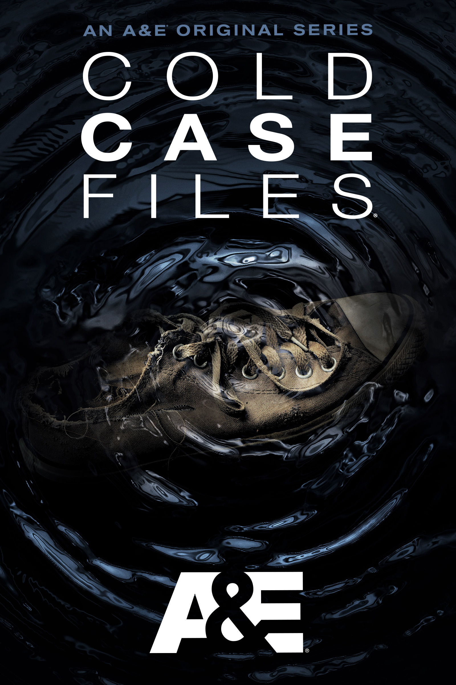Mega Sized TV Poster Image for Cold Case Files (#2 of 2)