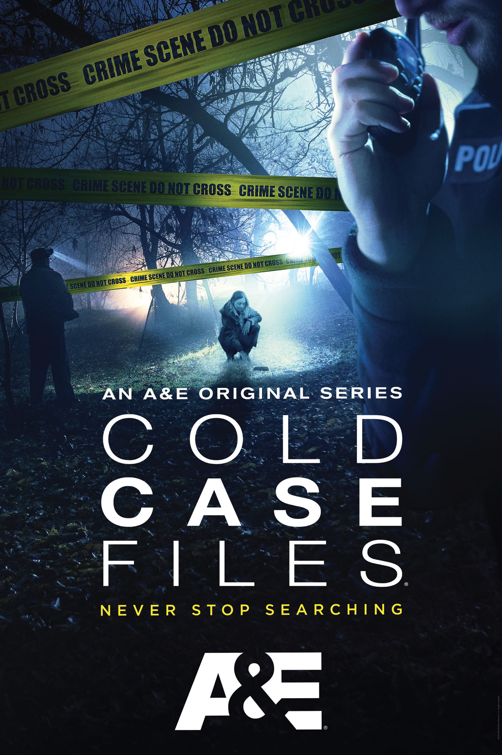Mega Sized TV Poster Image for Cold Case Files (#1 of 2)