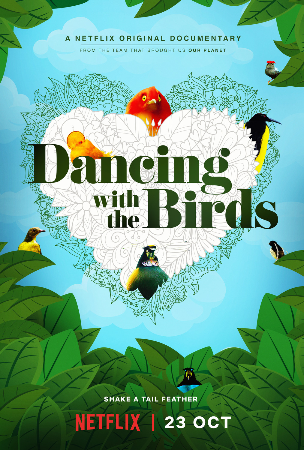 Extra Large TV Poster Image for Dancing with the Birds 