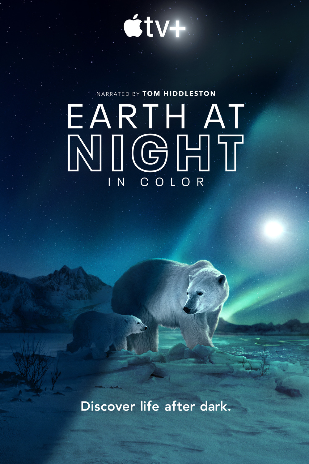 Extra Large TV Poster Image for Earth at Night in Color (#2 of 2)