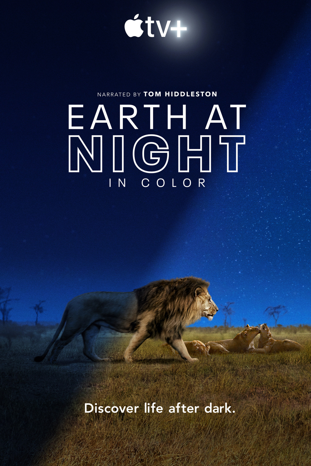Extra Large TV Poster Image for Earth at Night in Color (#1 of 2)
