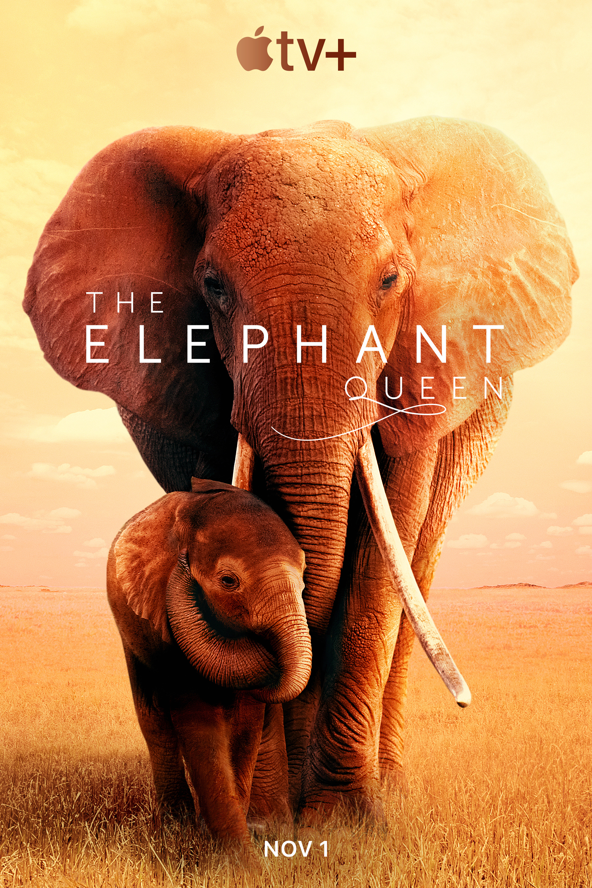 Mega Sized TV Poster Image for The Elephant Queen 