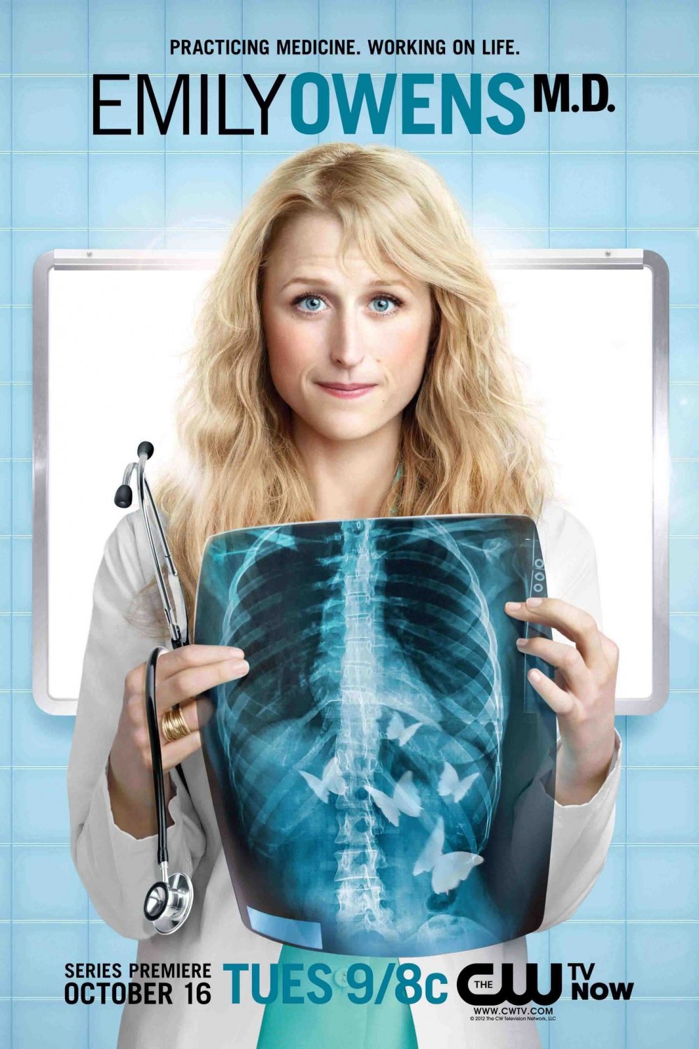 Extra Large TV Poster Image for Emily Owens, M.D. 