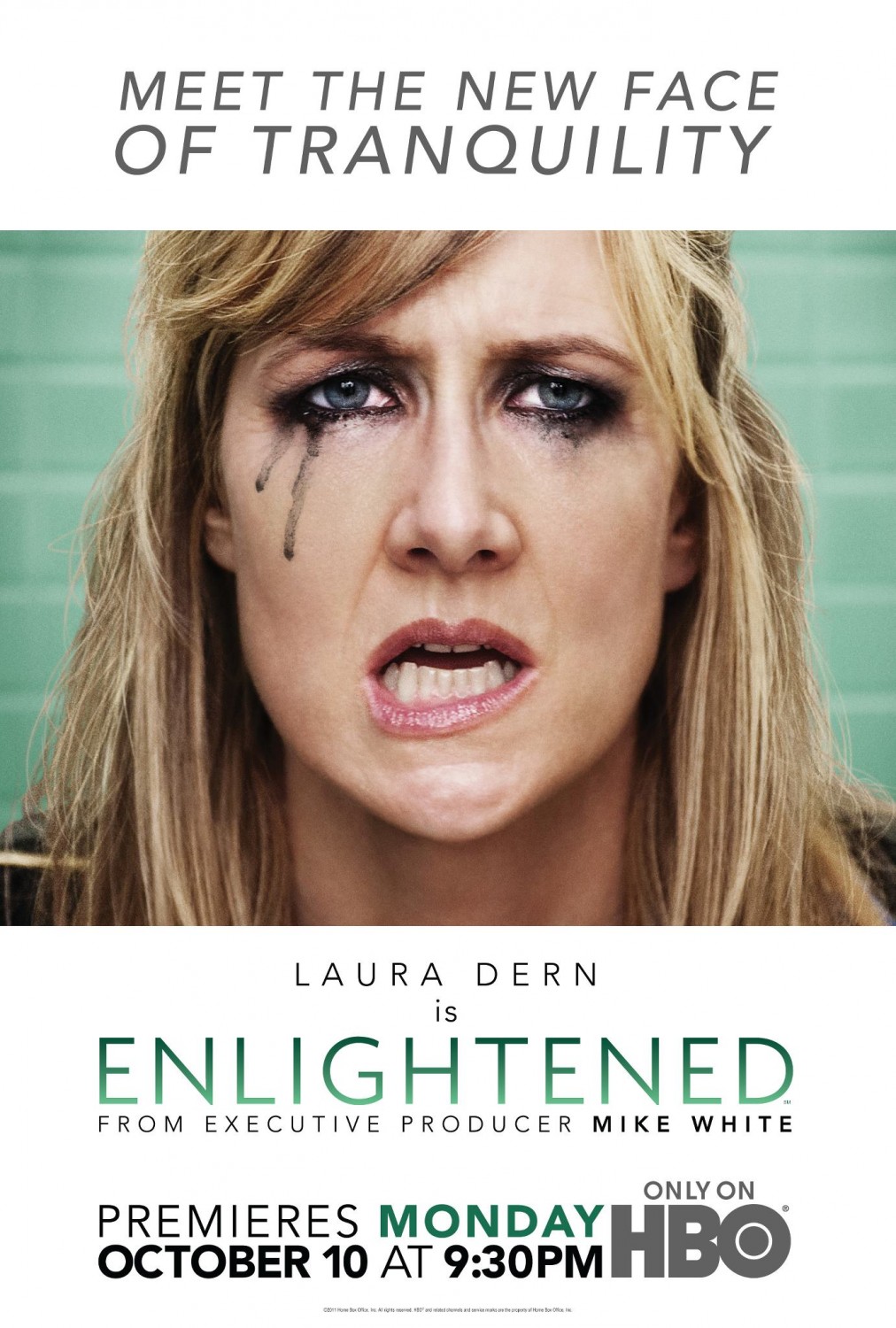 Extra Large TV Poster Image for Enlightened (#1 of 7)