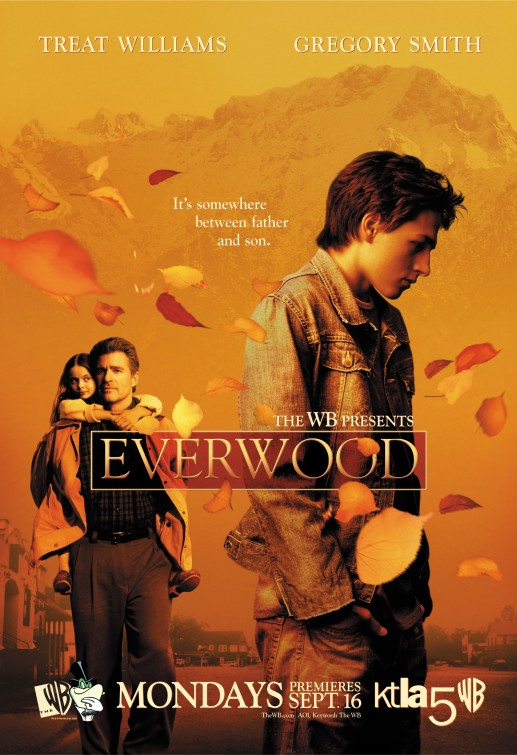 Everwood Movie Poster