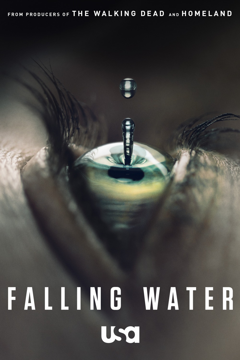 Extra Large TV Poster Image for Falling Water (#1 of 2)