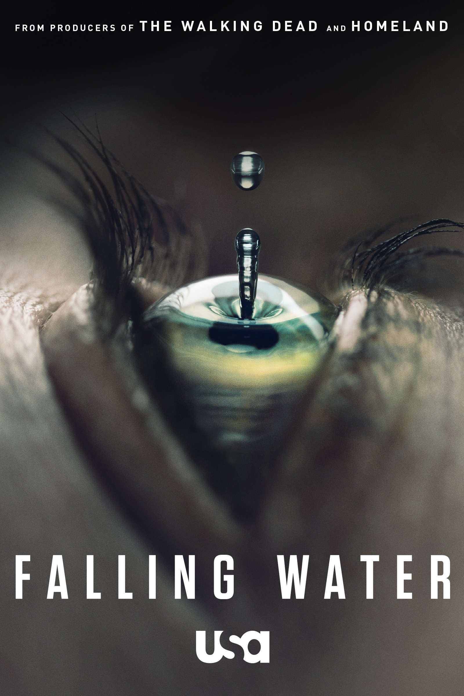 Mega Sized TV Poster Image for Falling Water (#1 of 2)