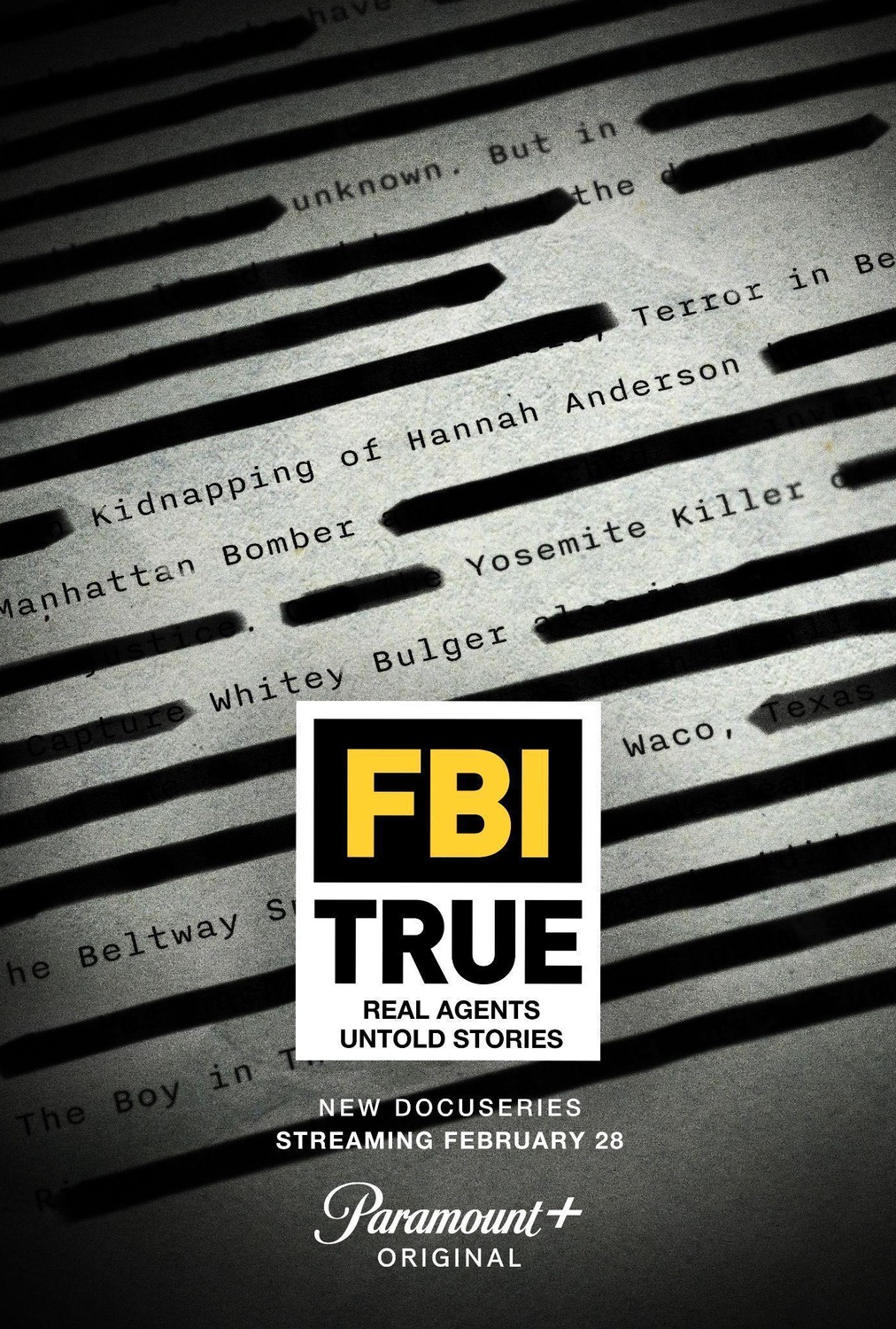 Extra Large TV Poster Image for FBI True 