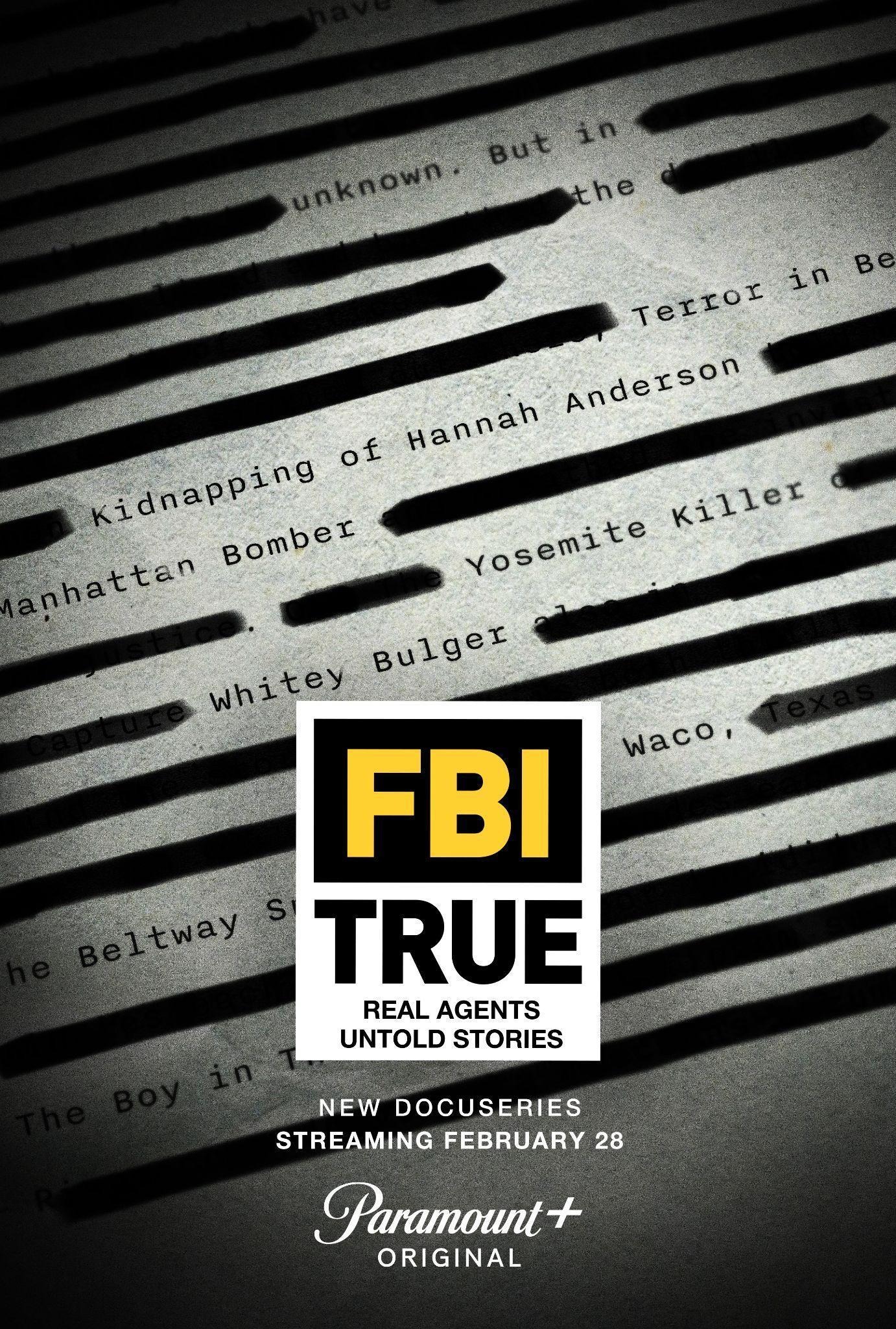 Mega Sized TV Poster Image for FBI True 