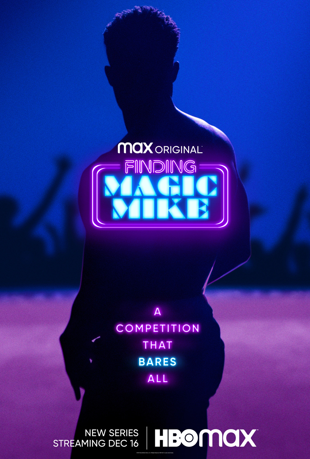 Extra Large Movie Poster Image for Finding Magic Mike 