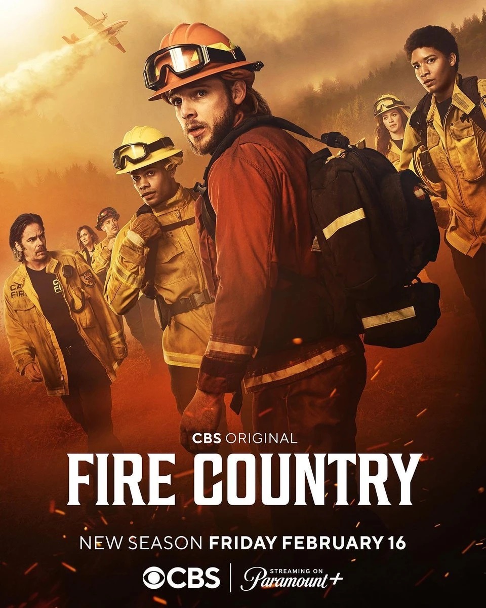 Extra Large TV Poster Image for Fire Country (#4 of 4)