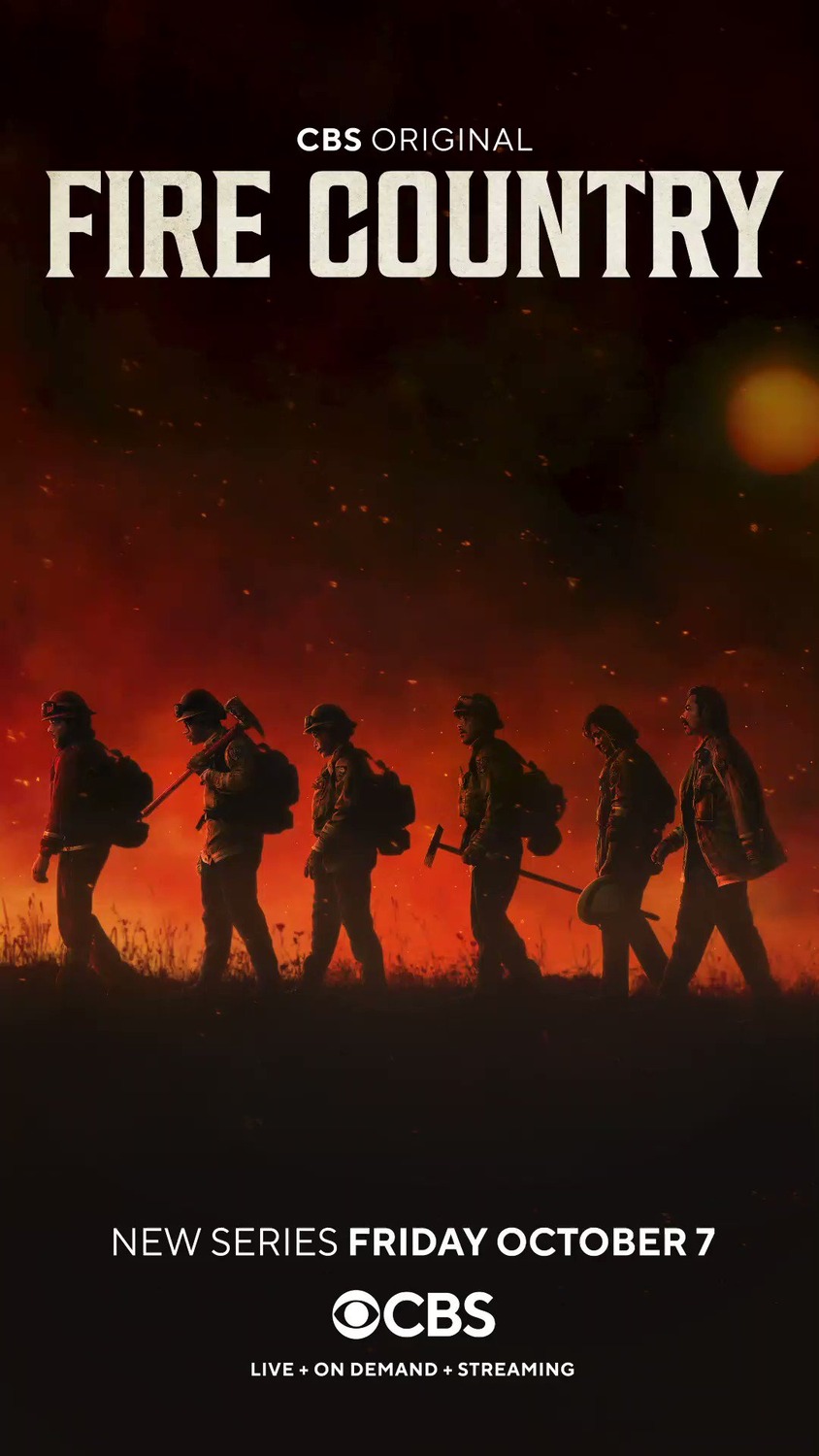 Extra Large TV Poster Image for Fire Country (#1 of 6)
