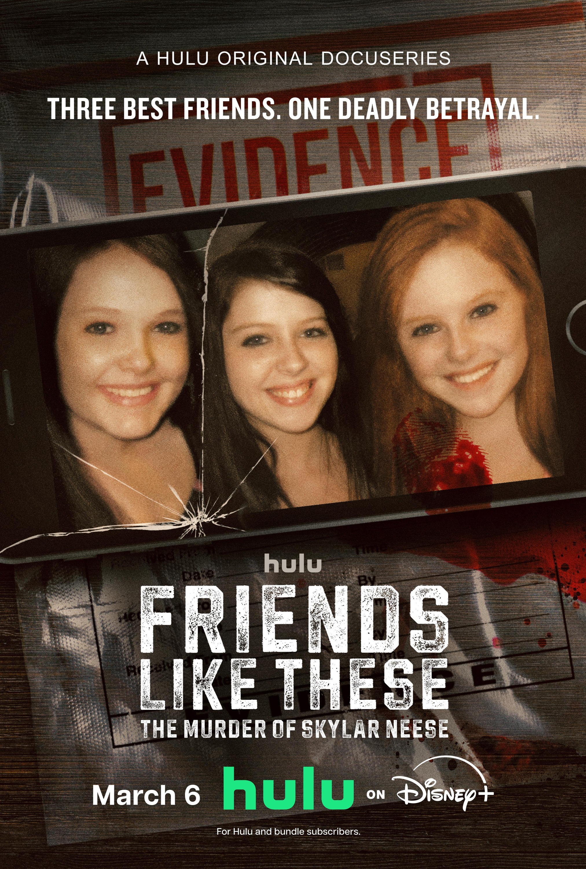 Mega Sized TV Poster Image for Friends Like These: The Murder of Skylar Neese 
