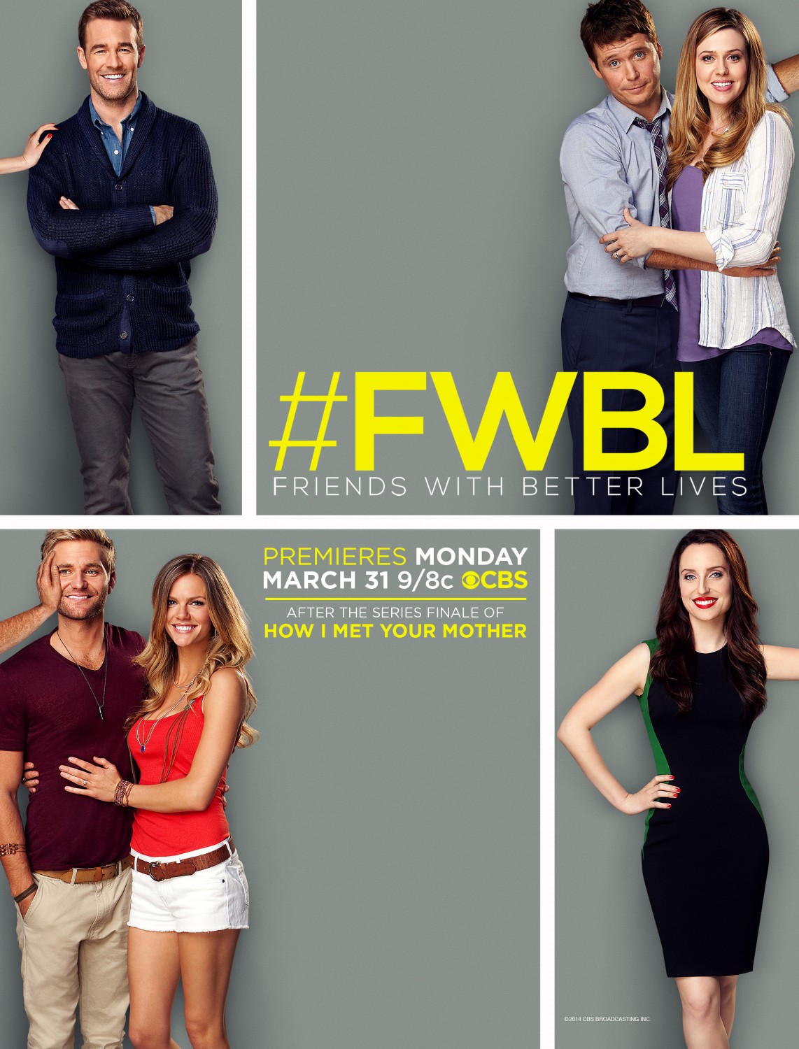 Extra Large TV Poster Image for Friends with Better Lives 