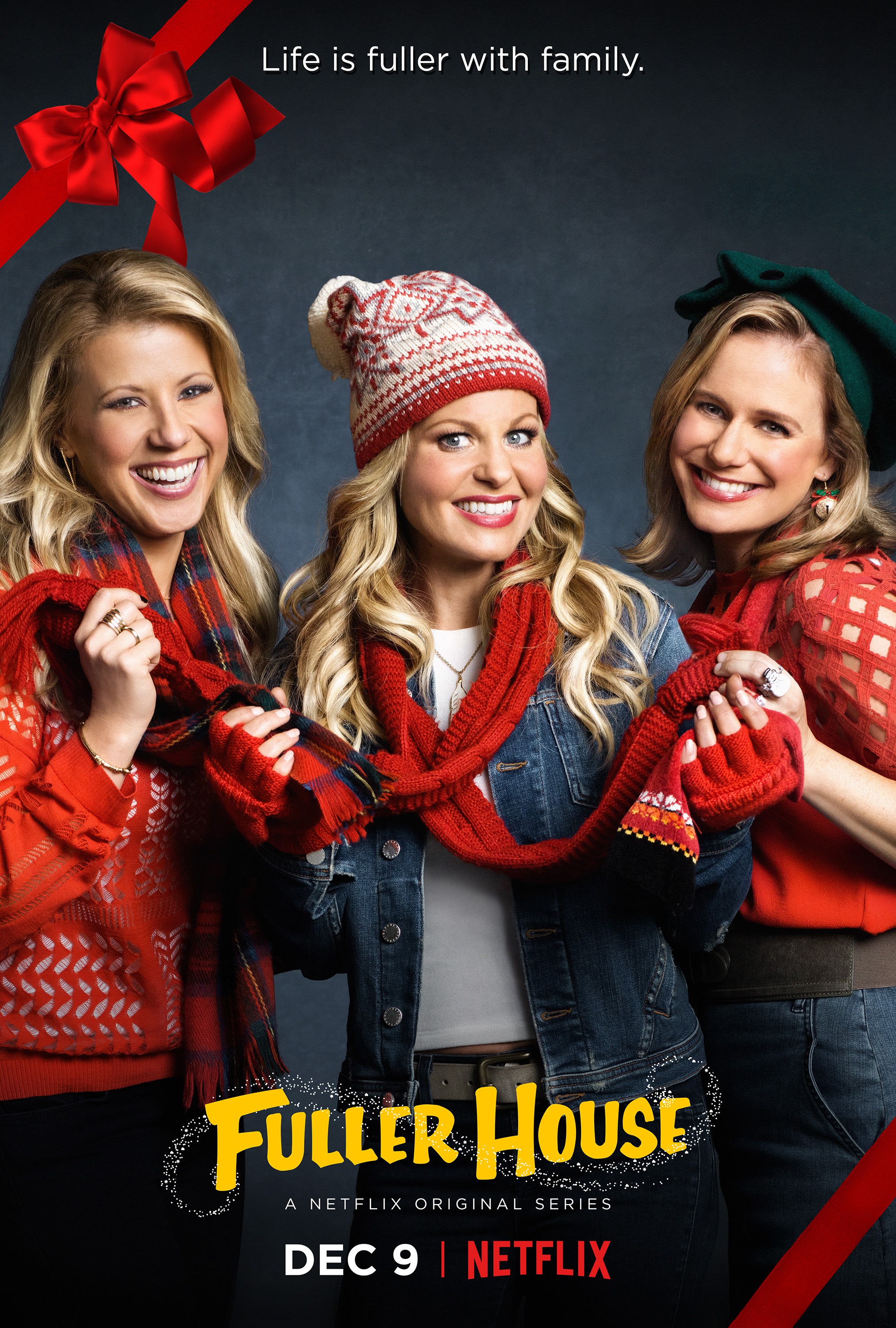 Mega Sized TV Poster Image for Fuller House (#13 of 16)