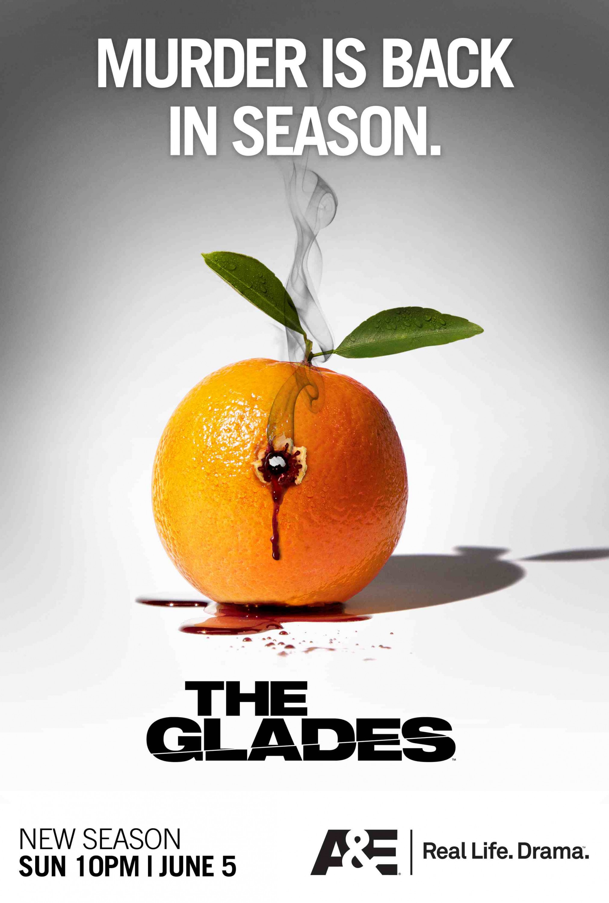 Mega Sized TV Poster Image for The Glades (#3 of 5)