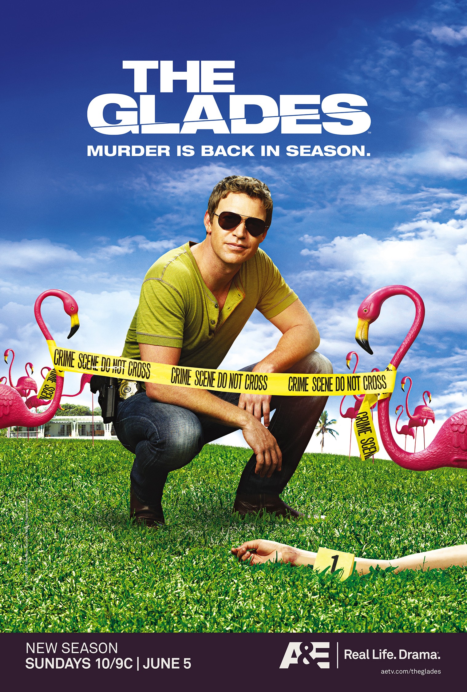 Mega Sized TV Poster Image for The Glades (#5 of 5)