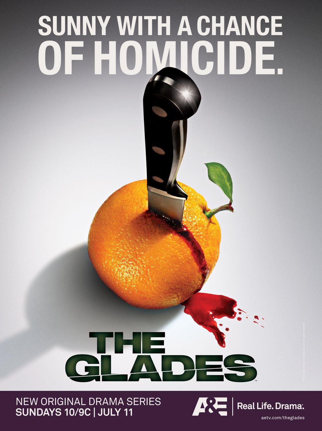Extra Large TV Poster Image for The Glades (#1 of 5)