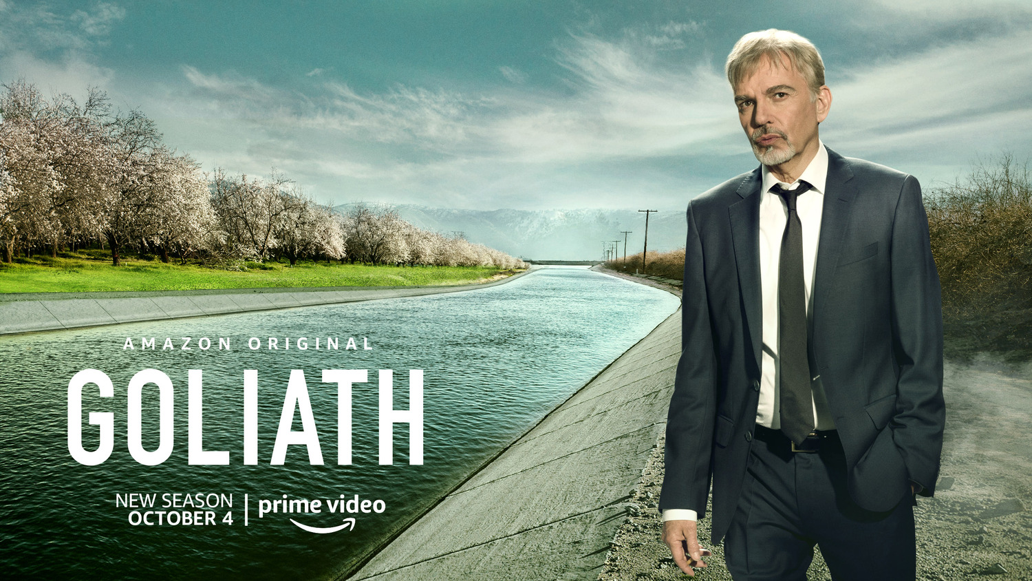Extra Large TV Poster Image for Goliath (#8 of 9)