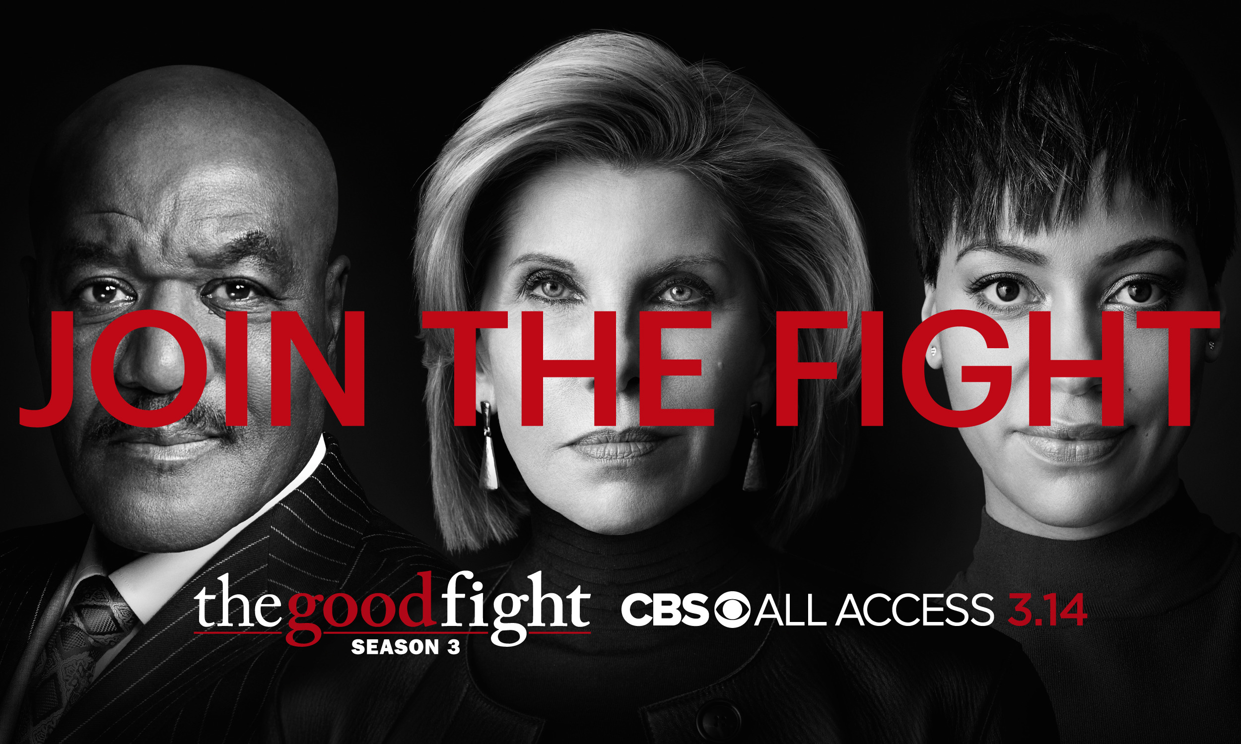 Mega Sized TV Poster Image for The Good Fight (#7 of 17)