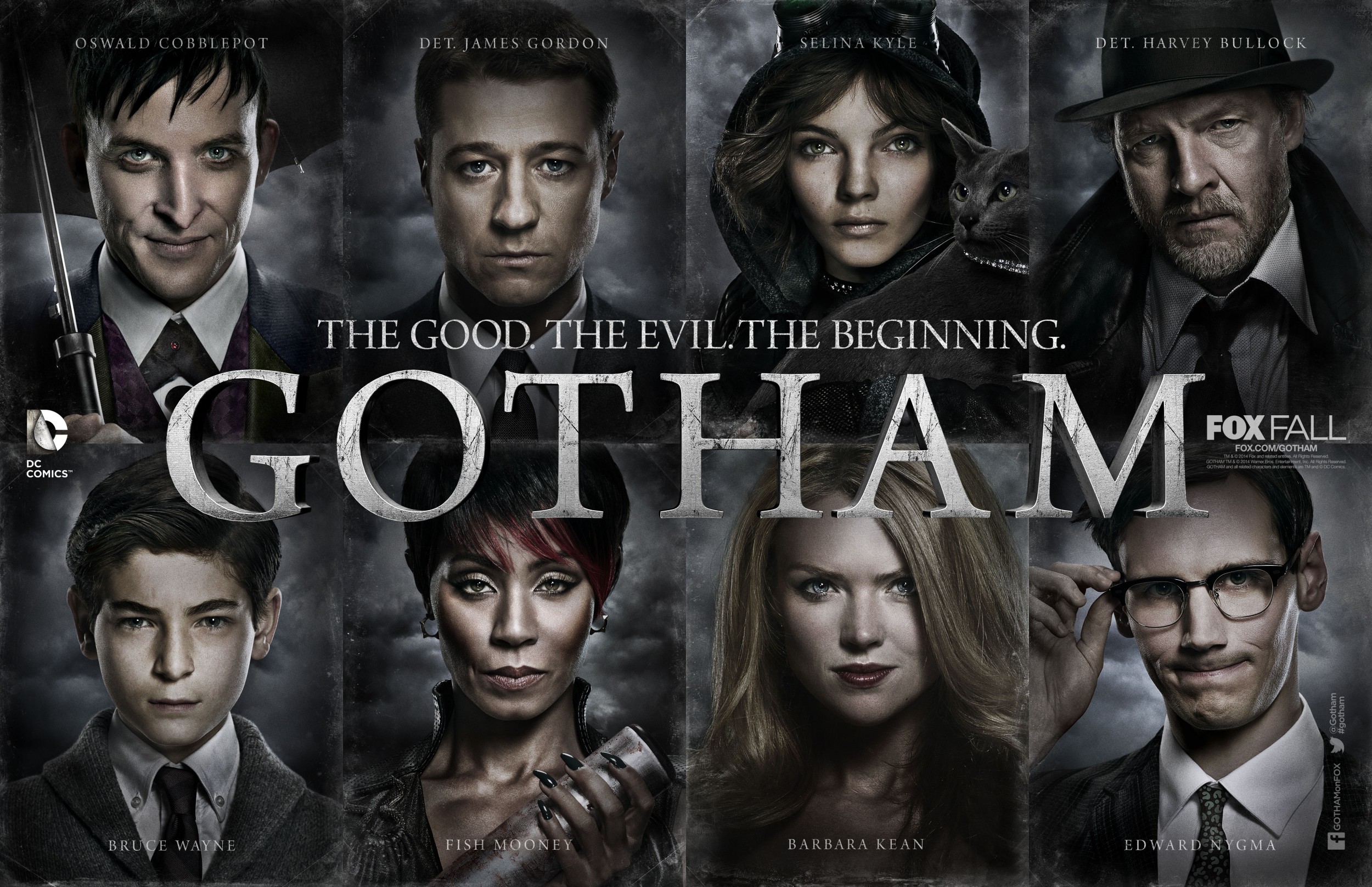 Mega Sized Movie Poster Image for Gotham (#10 of 21)