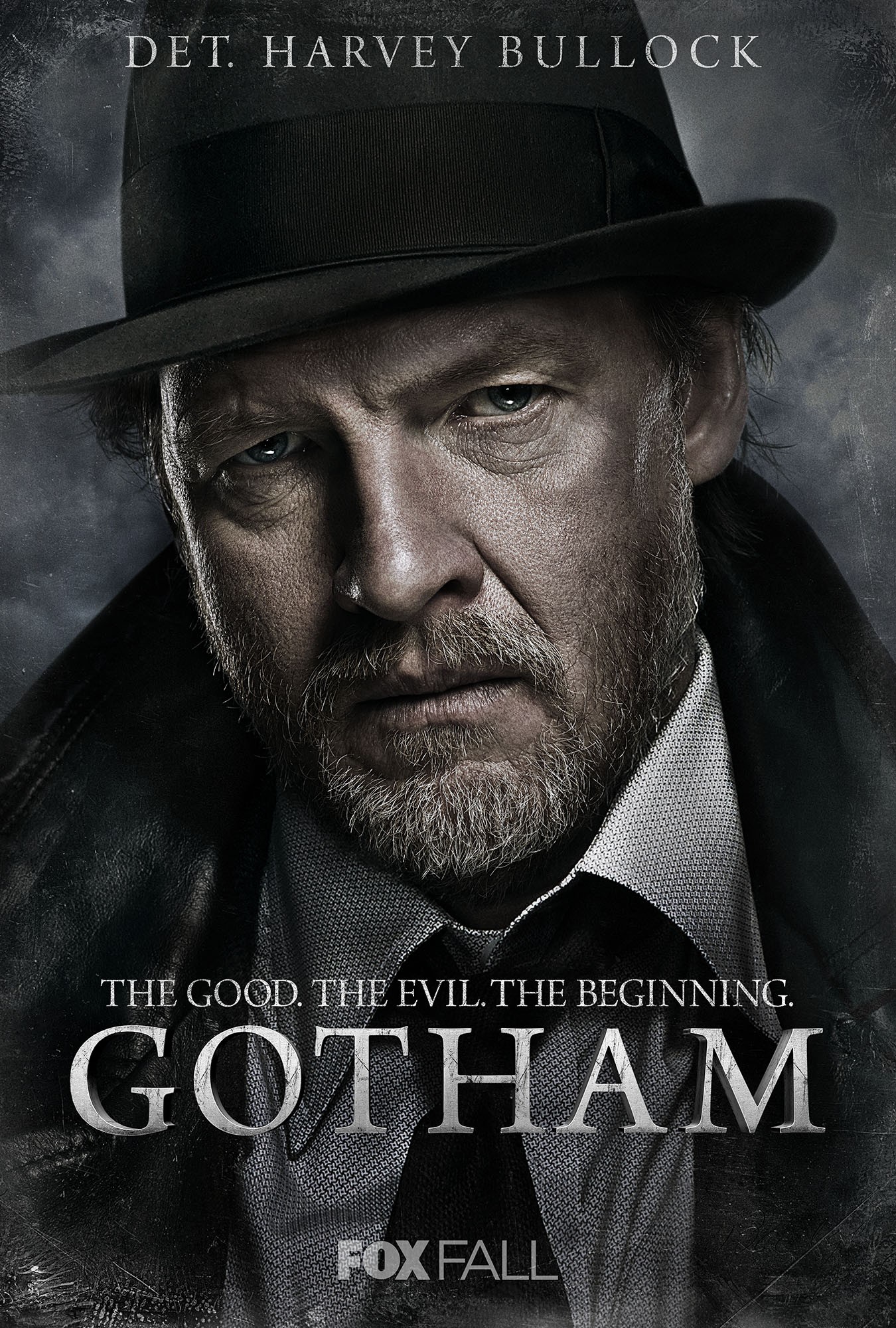 Mega Sized TV Poster Image for Gotham (#2 of 22)