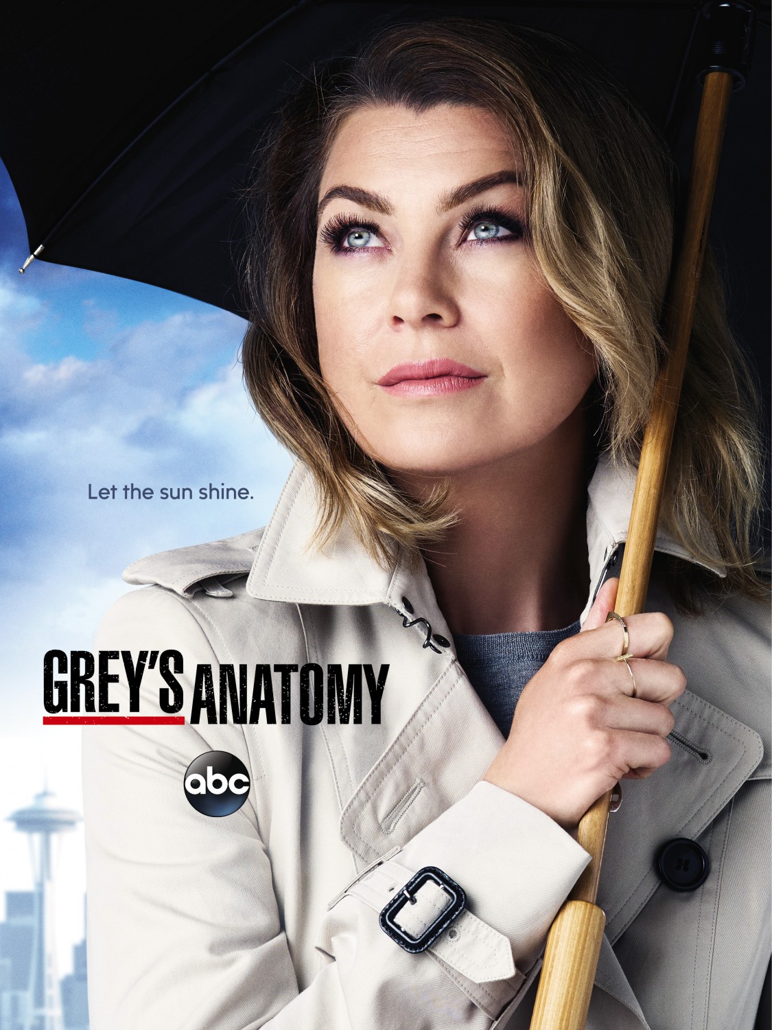 Extra Large TV Poster Image for Grey's Anatomy (#17 of 29)