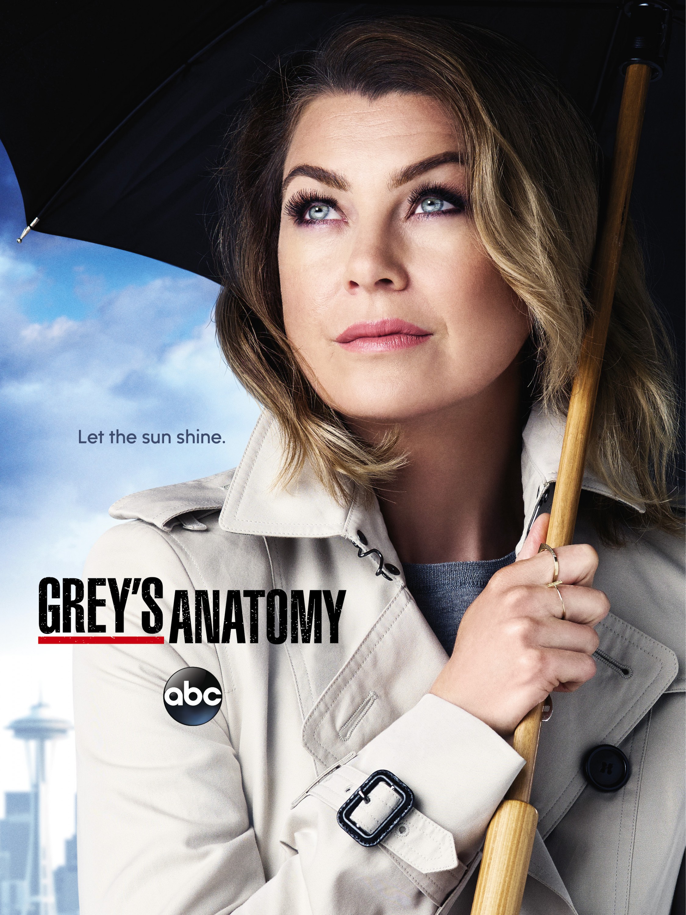 Mega Sized TV Poster Image for Grey's Anatomy (#17 of 29)