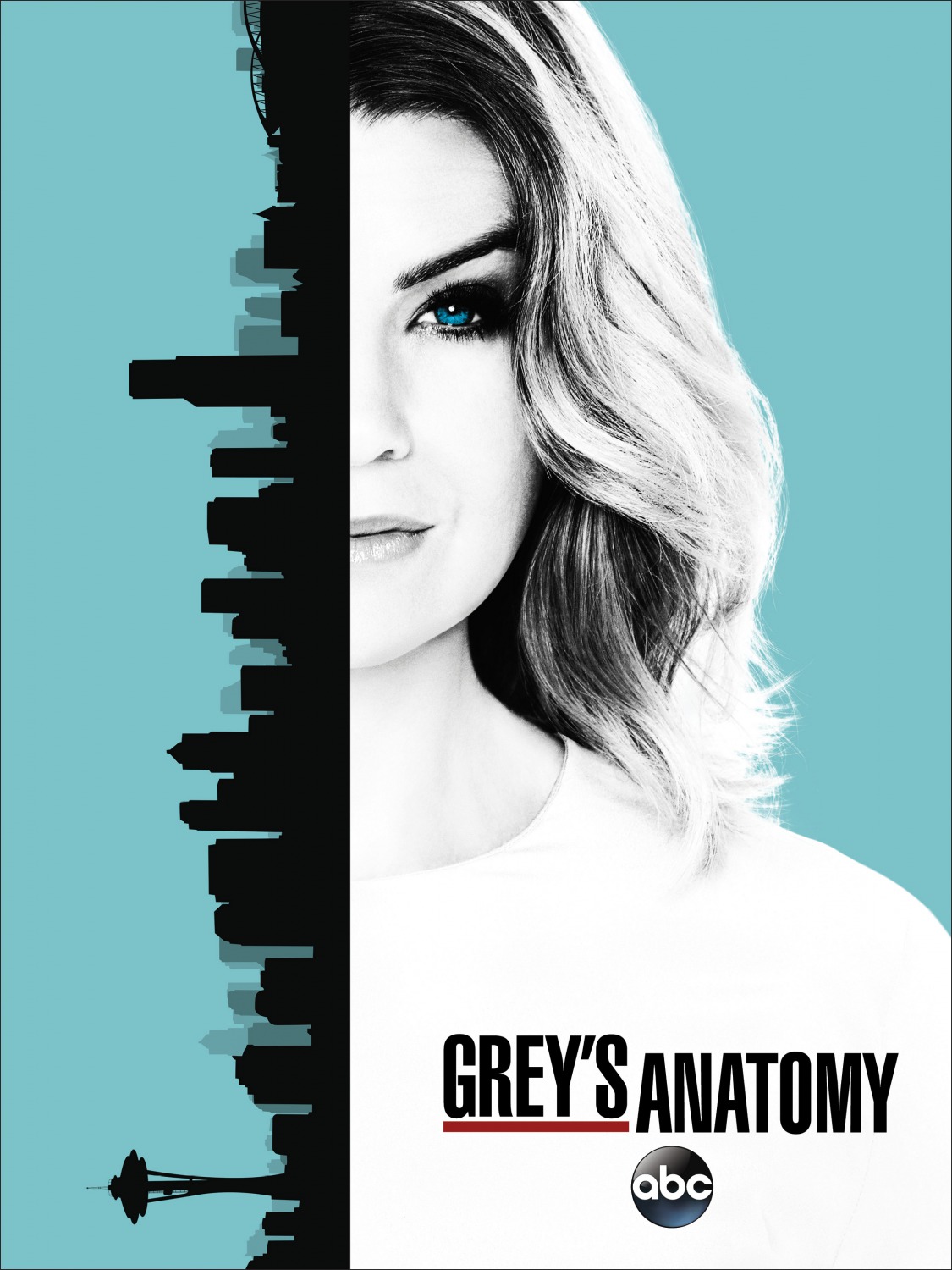 Extra Large TV Poster Image for Grey's Anatomy (#18 of 29)