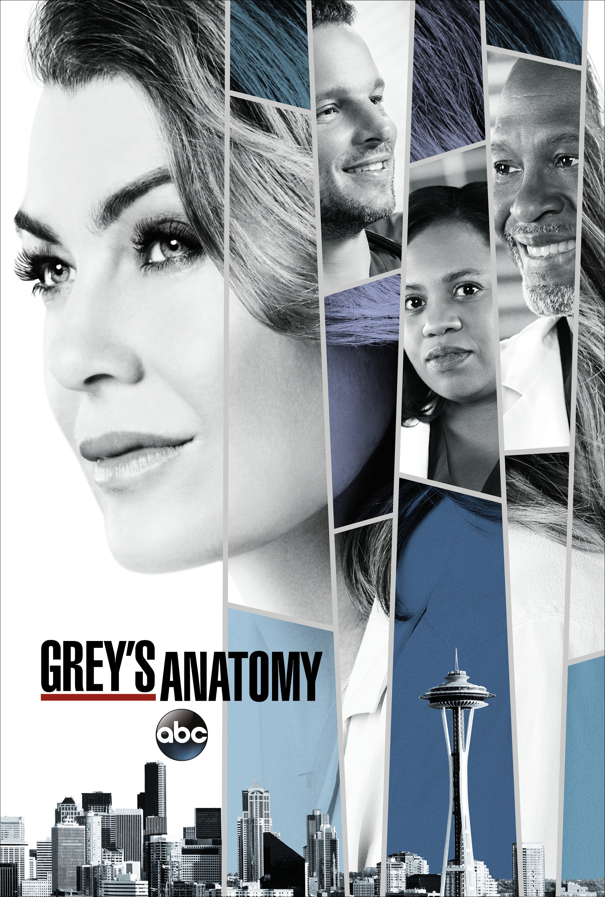 Mega Sized TV Poster Image for Grey's Anatomy (#19 of 29)