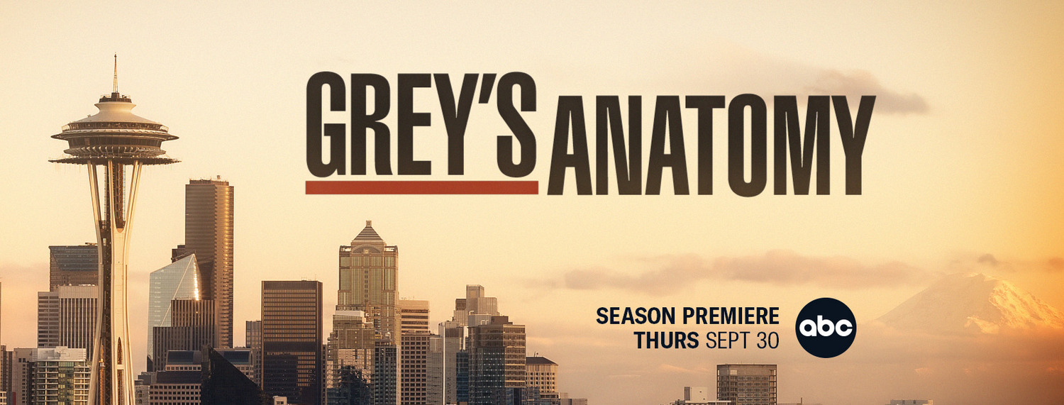 Extra Large TV Poster Image for Grey's Anatomy (#23 of 29)