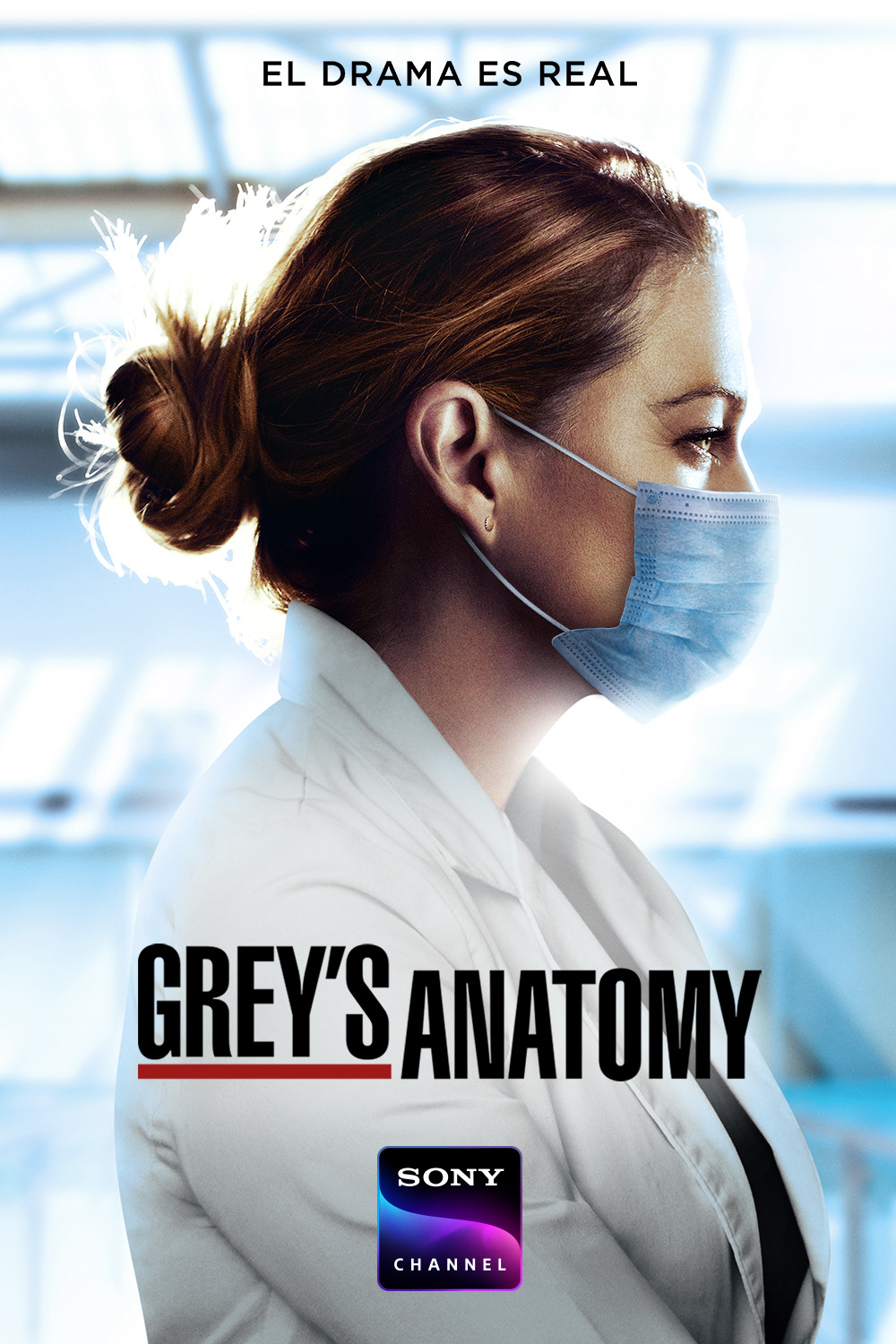 Extra Large TV Poster Image for Grey's Anatomy (#25 of 29)
